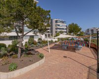 Resale - Apartamento - Los Dolses - Pimienta