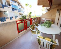 Resale - Apartamento - Mil Palmeras