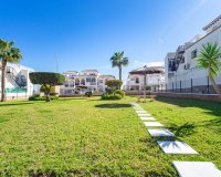Resale - Apartamento - Punta Prima - La Ciñuelica