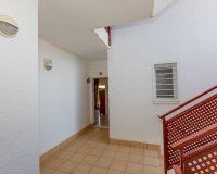Resale - Apartamento - Punta Prima - La Ciñuelica