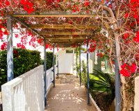 Resale - Apartamento - Punta Prima