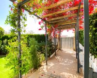 Resale - Apartamento - Punta Prima