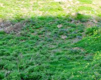 Resale - Apartamento - Punta Prima