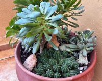 Resale - Apartamento - Punta Prima