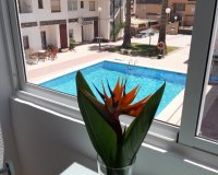 Resale - Apartamento - Punta Prima