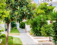 Resale - Apartamento - Torrevieja - Calas Blancas