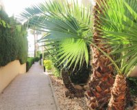 Resale - Apartamento - Torrevieja