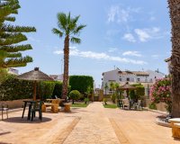 Resale - Apartment - Punta Prima - La Ciñuelica