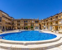 Resale - Apartment - Punta Prima - Rocio del Mar