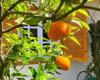 Resale - Apartment - Punta Prima