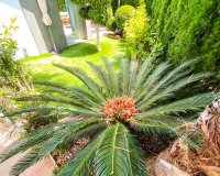 Resale - Apartment - Punta Prima