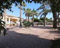 Resale - Finca Country Property - Alicante - Catral