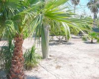 Resale - Finca Country Property - Alicante - Dolores