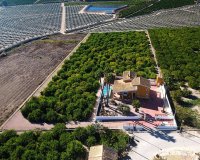 Resale - Finca Country Property - Orihuela-Costa - Orihuela