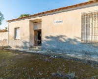 Resale - Finca Country Property - Pilar de la Horadada - Pinar de la Perdiz