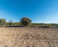 Resale - Finca Country Property - Pilar de la Horadada - Pinar de la Perdiz