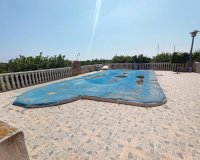 Resale - Finca Country Property - San Miguel De Salinas