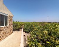 Resale - Finca Country Property - San Miguel De Salinas