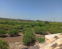 Resale - Finca Country Property - San Miguel De Salinas