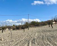 Resale - Land - Bullas - Costa Cálida