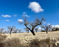 Resale - Land - Murcia - Costa Cálida