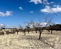 Resale - Land - Murcia - Costa Cálida