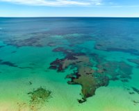 Resale - Villa - Campoamor - Dehesa de Campoamor