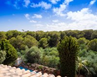 Resale - Villa - Campoamor