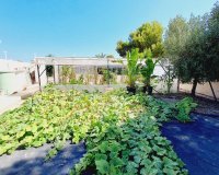 Resale - Villa - Campoamor