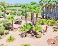 Resale - Villa - Daya Vieja