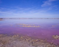 Resale - Villa - Los Altos