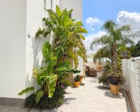 Resale - Villa - Los Montesinos - La Herada