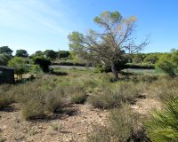 Resale - Villa - Mil Palmeras