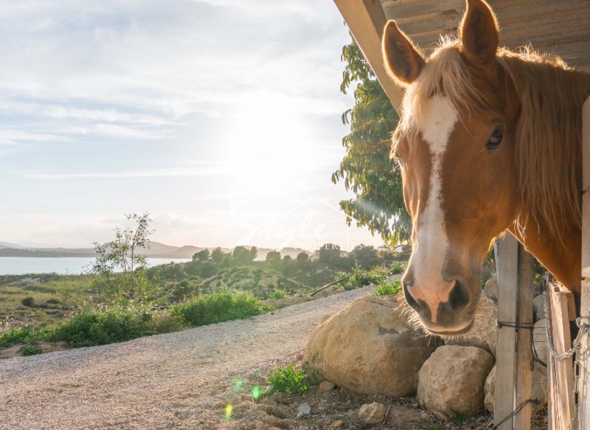 Resale - Villa - Orihuela-Costa - Orihuela Costa