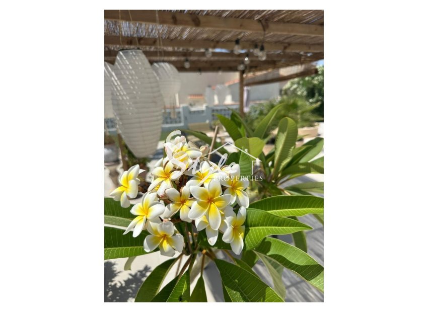 Resale - Villa - Torrevieja - San luis