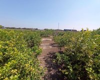 Resale - Village house - San Miguel De Salinas