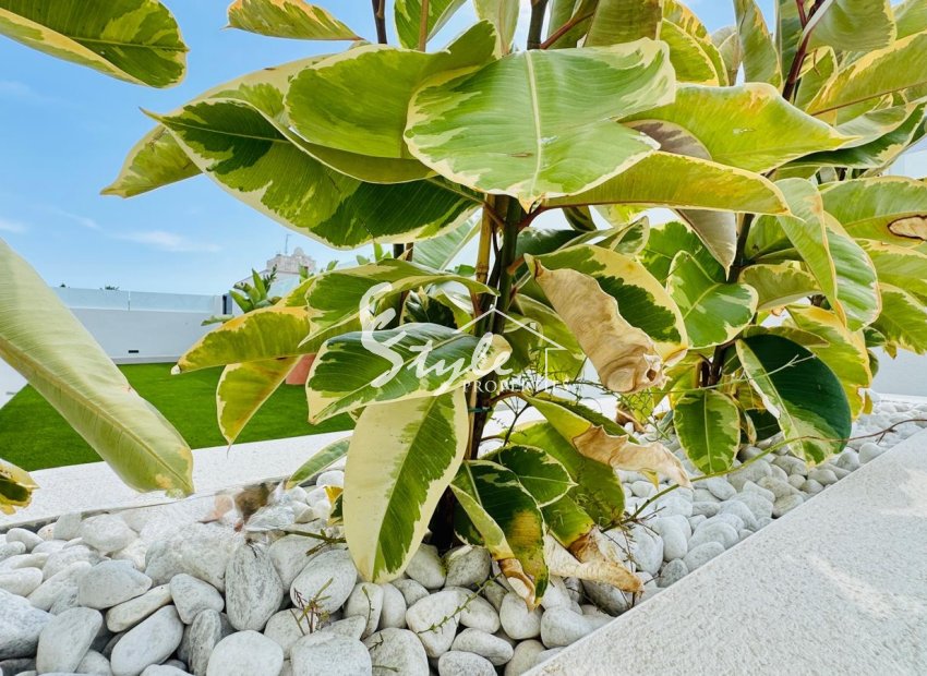 Reventa - Adosado - Torrevieja - La Veleta