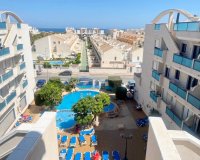 Reventa - Apartamento - Cabo Roig