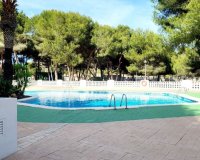 Reventa - Apartamento - Campoamor - Dehesa de Campoamor