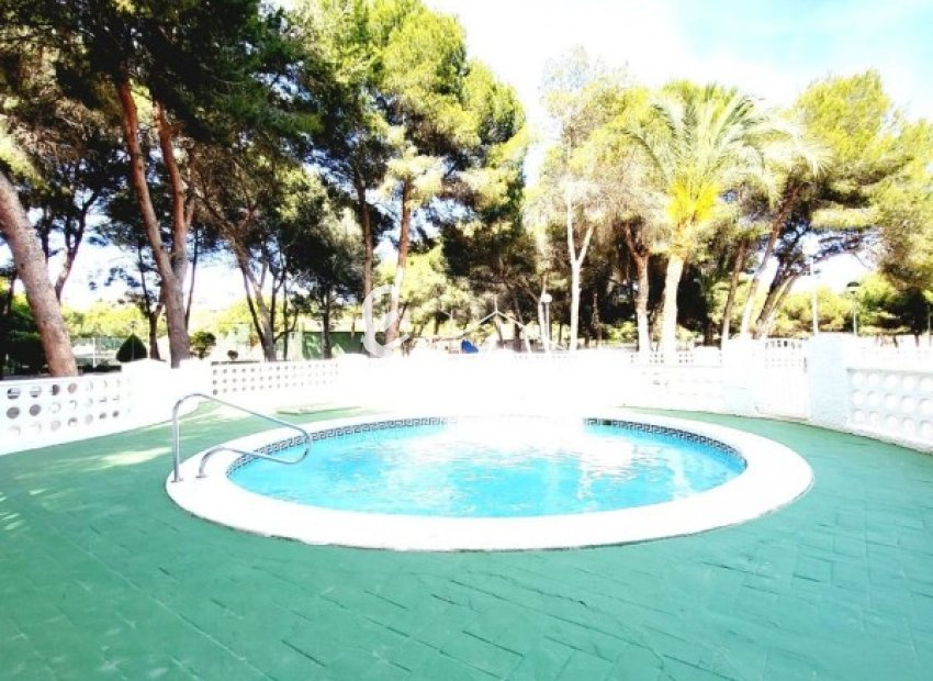 Reventa - Apartamento - Campoamor - Dehesa de Campoamor