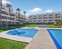 Reventa - Apartamento - Campoamor - Dehesa de Campoamor