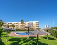 Reventa - Apartamento - Dahesa de Campoamor - Campoamor