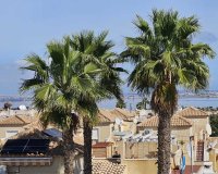 Reventa - Apartamento - Los Altos - Dream Hills