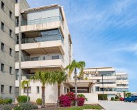Reventa - Apartamento - Los Dolses - Villamartin
