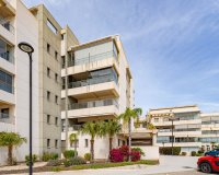 Reventa - Apartamento - Los Dolses - Villamartin