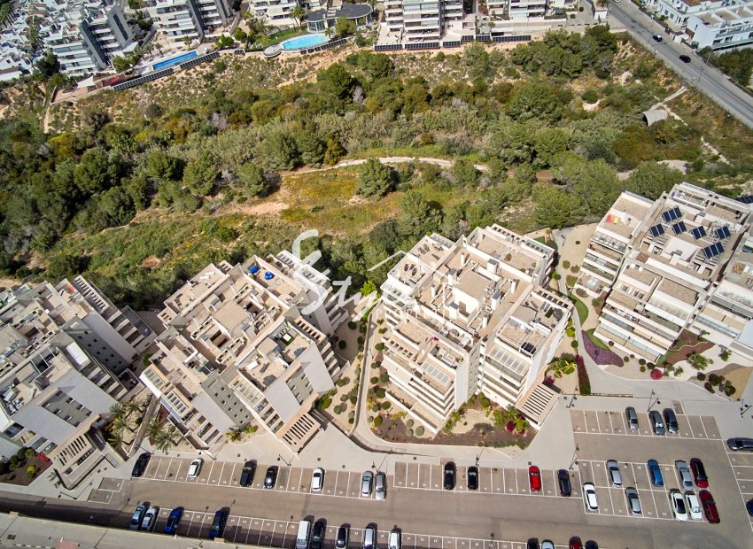 Reventa - Apartamento - Los Dolses - Villamartin
