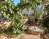 Reventa - Apartamento - Los Montesinos - La Herada