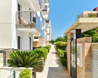 Reventa - Apartamento - Mil Palmeras