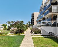 Reventa - Apartamento - Mil Palmeras