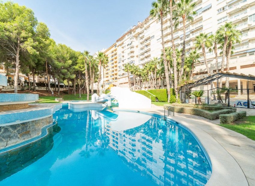 Reventa - Apartamento - Orihuela-Costa - Campoamor